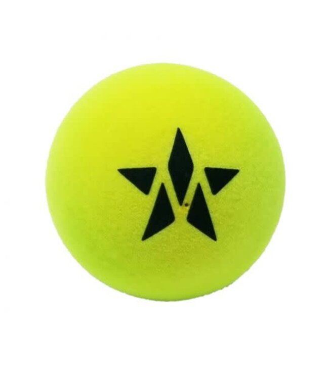 Master Athletics Platform Tennis Balls (2-Pack)