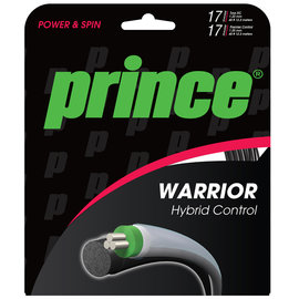 Prince Prince Warrior Hybrid Control