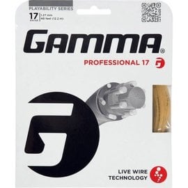 Gamma Professional