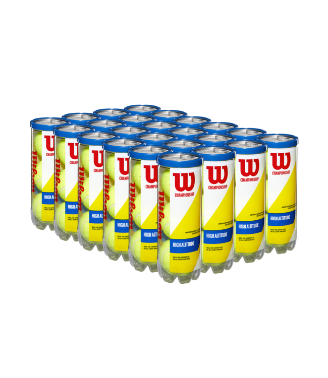 Wilson W-Balls Champ HA (CASE)