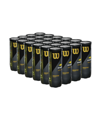 Wilson W- Ball US Open HA CASE