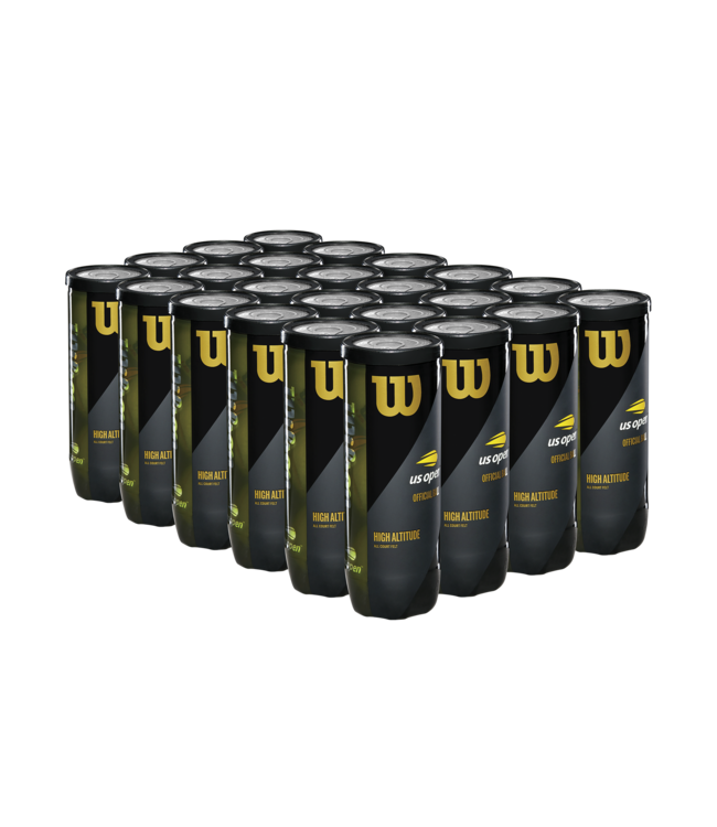 Wilson W- Ball US Open HA CASE
