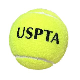 Wilson W Triniti Club Ball 72 Ball Box USPTA Logo Case