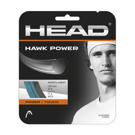 Head/Penn Hawk Power 17g 1.25mm