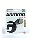 Gamma TNT2
