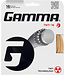 Gamma TNT2