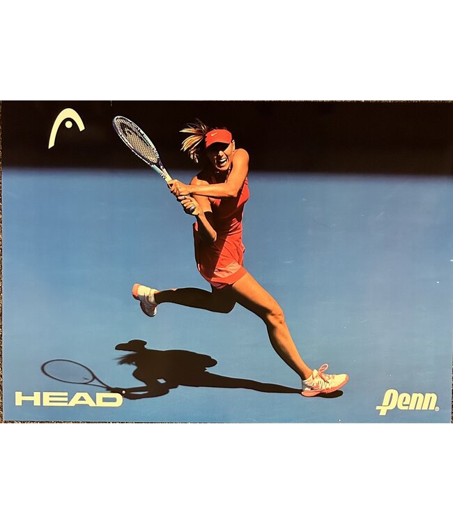 Head/Penn Poster 3-6: Djokovic (front)/Sharapova (back) 2-sided (23.5"x16.5")