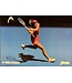 Head/Penn Poster 3-6: Djokovic (front)/Sharapova (back) 2-sided (23.5"x16.5")