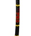 Volkl C10 Pro 2022