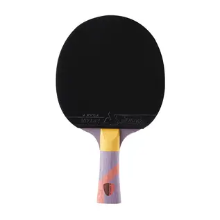 Joola Omega Strata Table Tennis Racket w Vizon Rubber - Purple