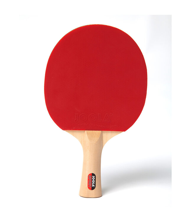 Joola JOOLA Family Table Tennis Rackets & Balls Set