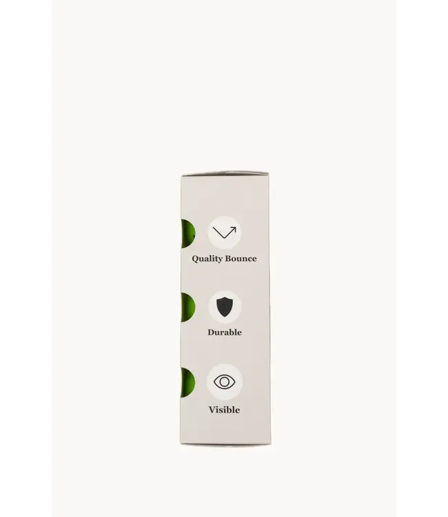 Holbrook Outdoor Pickleballs