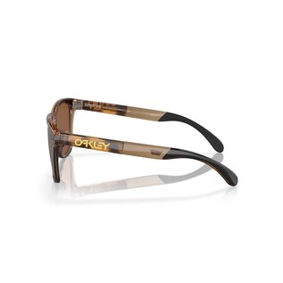 Oakley Frogskins Sunglasses (Brown Tortoise / Brown Smoke Frame) - Prizm Tungsten Lenses