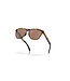 Oakley Frogskins Sunglasses (Brown Tortoise / Brown Smoke Frame) - Prizm Tungsten Lenses