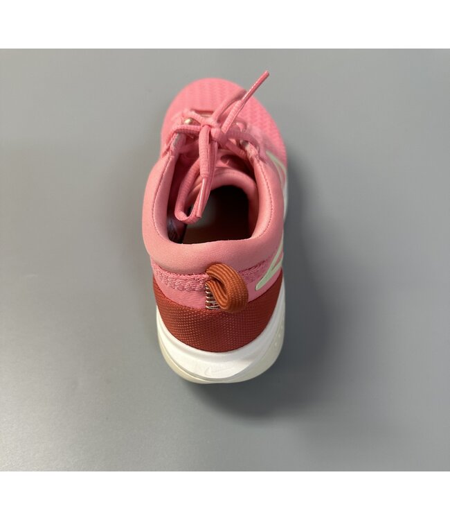 Nike Zoom Court Pro HC W's