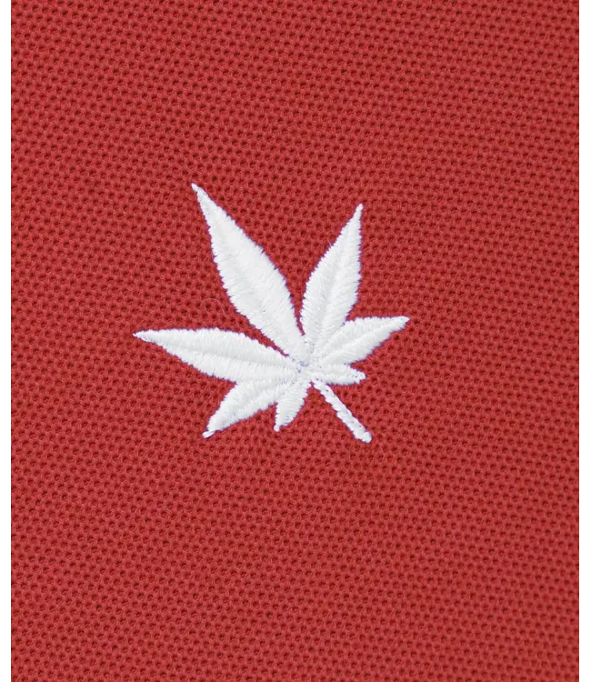 Boast 1983 Classic Polo