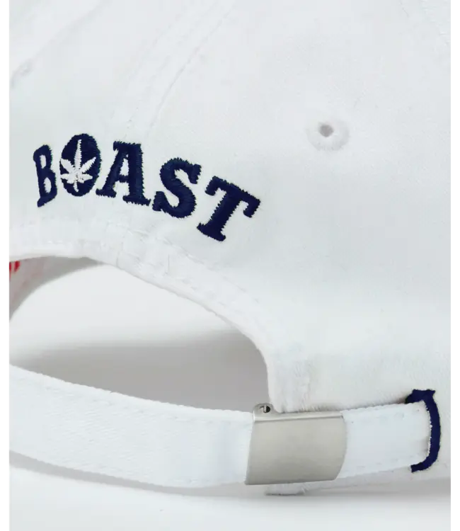 Boast 6 Panel Dad Cap