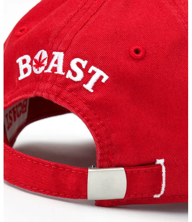 Boast 6 Panel Dad Cap