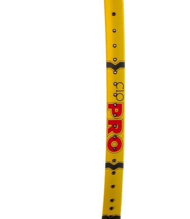 Volkl C10 Pro 25th Anniversary