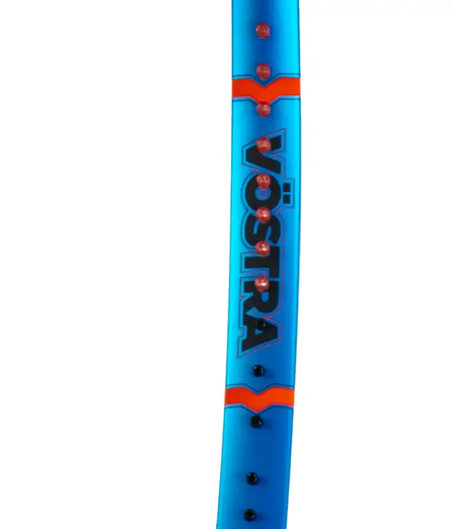 Volkl Vostra V5