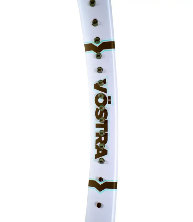 Volkl Vostra V2