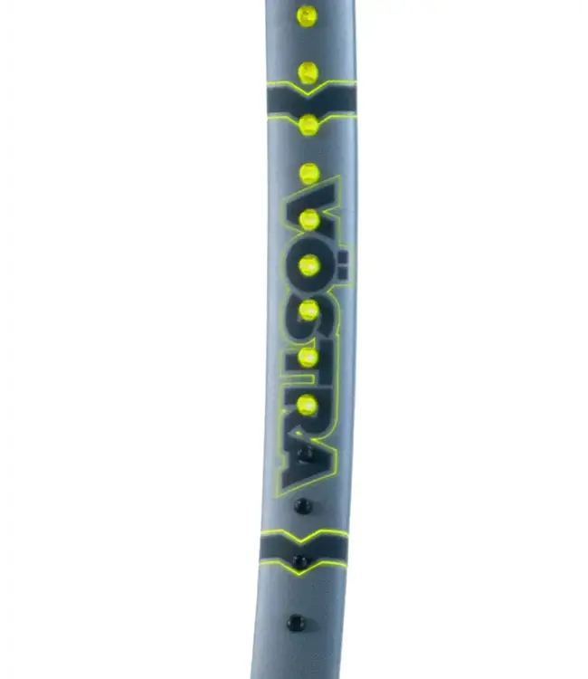 Volkl Vostra V10 300g