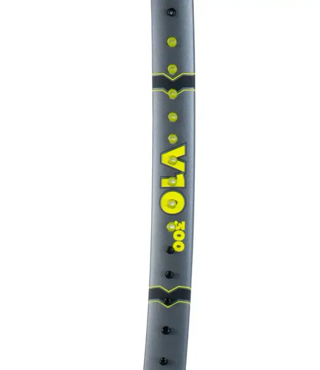 Volkl Vostra V10 300g