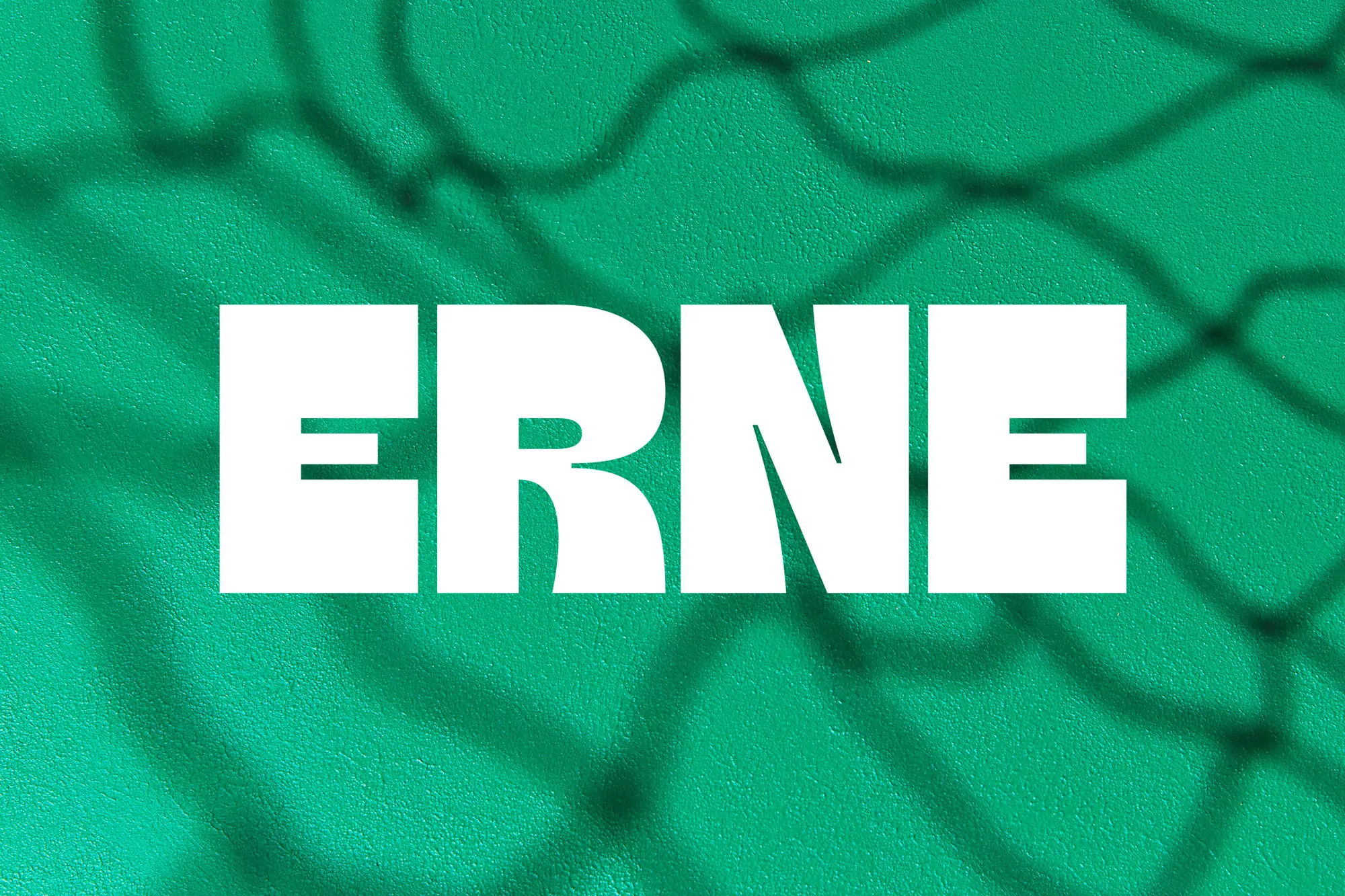 Erne Pickleball