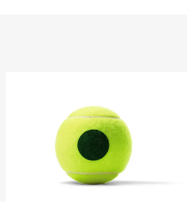 Wilson W-US OPEN TOURN GREEN Case