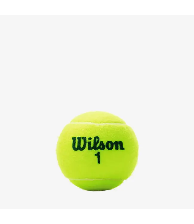 Wilson W-US OPEN TOURN GREEN Case