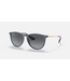Rayban Erika Trnspt Blue/Grey Grad Polar