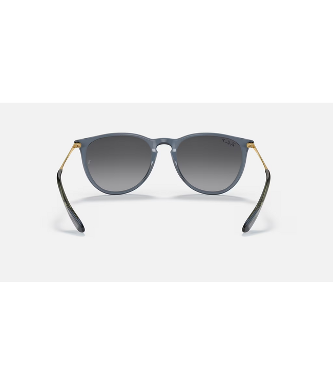 Rayban Erika Trnspt Blue/Grey Grad Polar