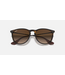 Rayban Erika Light Havana w/Brown Gradient Polar