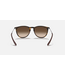 Rayban Erika Light Havana w/Brown Gradient Polar