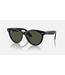 Rayban Wayfarer Way Black/Green