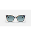 Rayban Elliot Yellow & Blue Havanda/Blue Gradient Grey