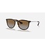 Rayban Erika Light Havana w/Brown Gradient Polar