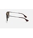 Rayban Erika Light Havana w/Brown Gradient Polar