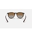 Rayban Erika Light Havana w/Brown Gradient Polar