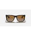 Rayban Justin