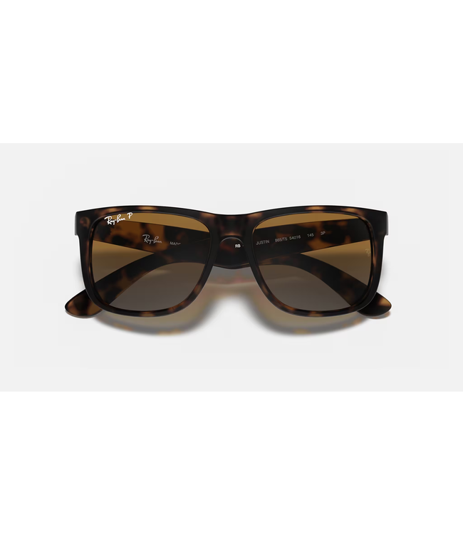 Rayban Justin