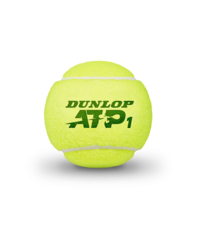Dunlop D-Balls ATP Extra Duty HA CASE - LOGO