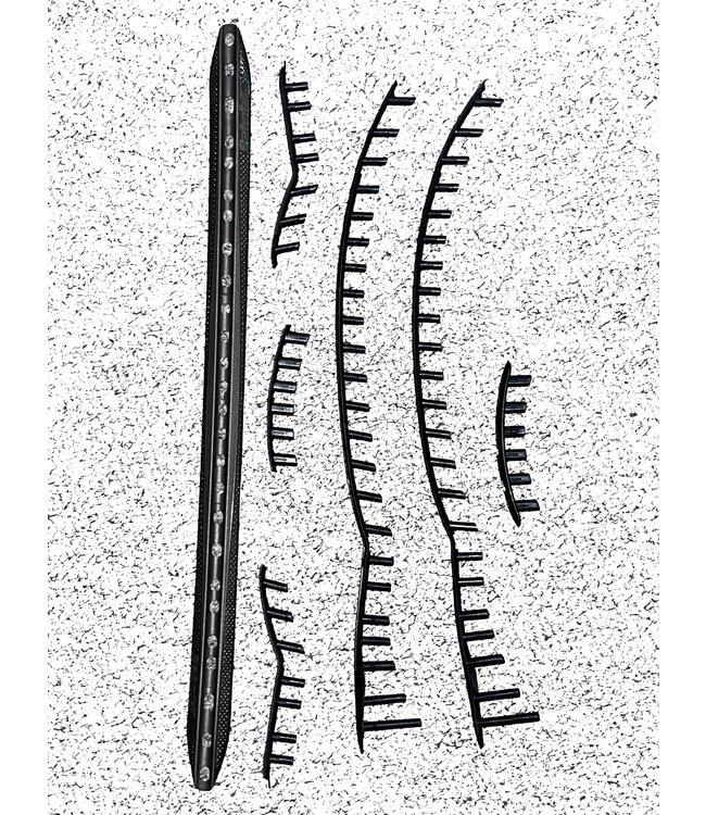 Babolat B-GT Pure Drive VS 2018 VS