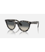 Rayban Wayfarer Way Grey Havana/Grey Gradient