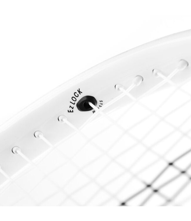 Tecnifibre T-Fight 315s 2025