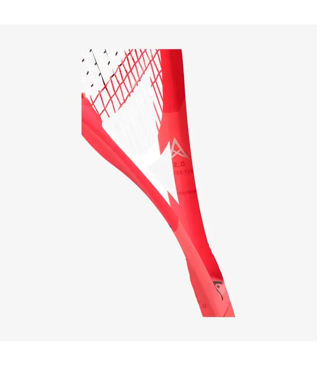 Head/Penn Radical MP 2025