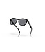 Oakley Frogskins Polished Black w/ Grey