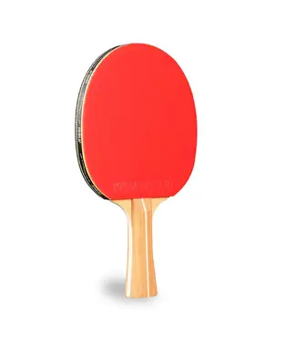 Joola Omega Control Ping Pong