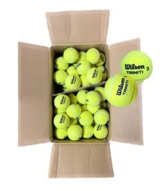 Wilson W Triniti Club Box 72 Ball Case