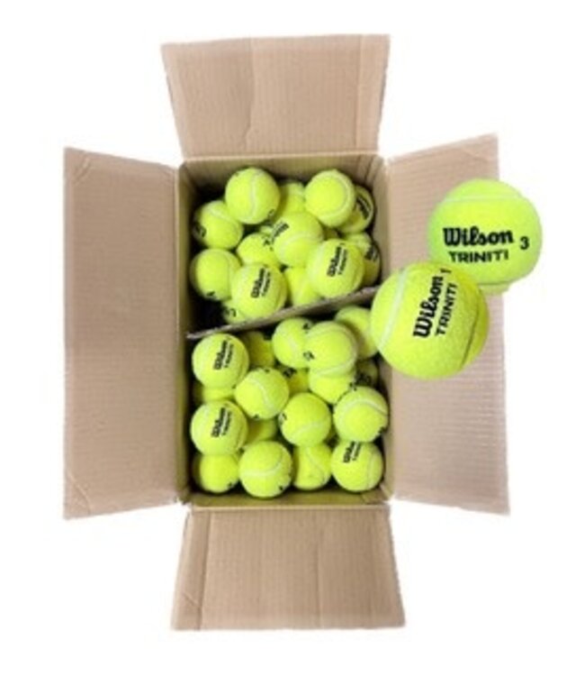 Wilson W Triniti Club Box 72 Ball Case